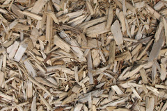 biomass boilers Cheddar